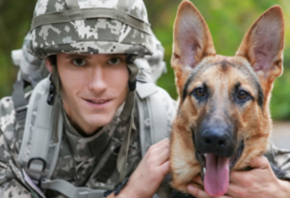 Soldier in BDUs with military canine