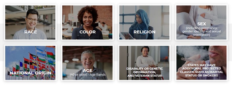 A collection of classes protected by law against discrimination, including race, ethnicity, sex (including pregnancy, gender identity, and sexual orientation), age (40 or over), disability, religion, national origin, genetic information, and, veteran status